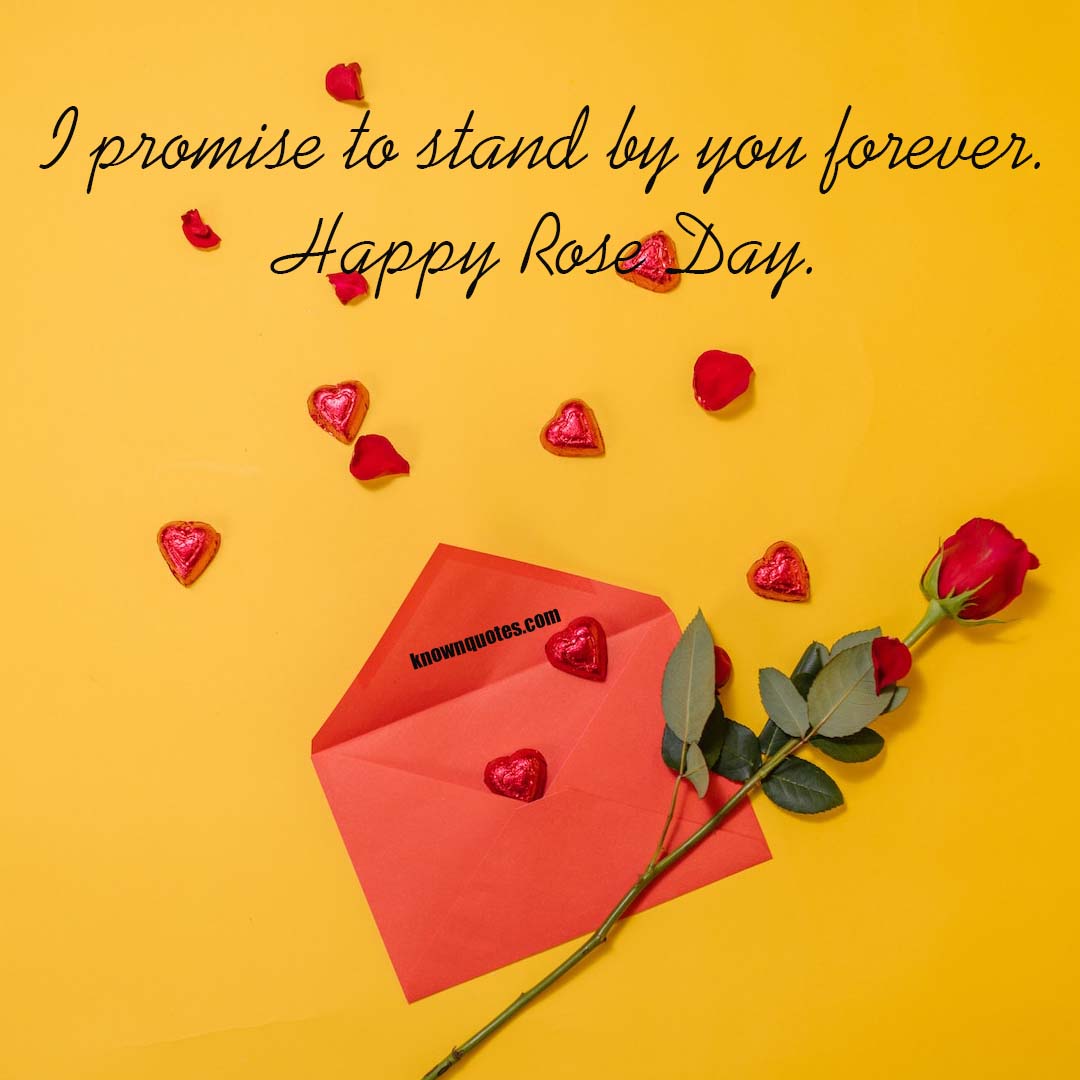 Rose Day wishes to your husband or boyfriend