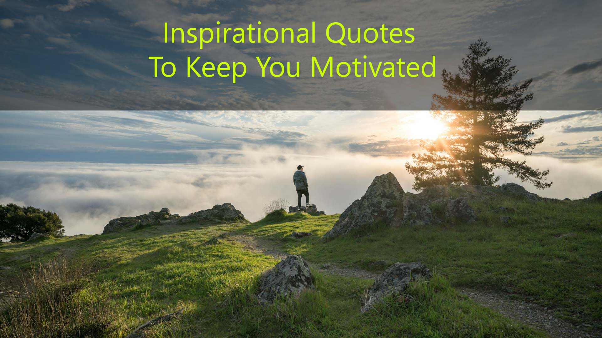 Motivational Quotes To Inspire You in 2024